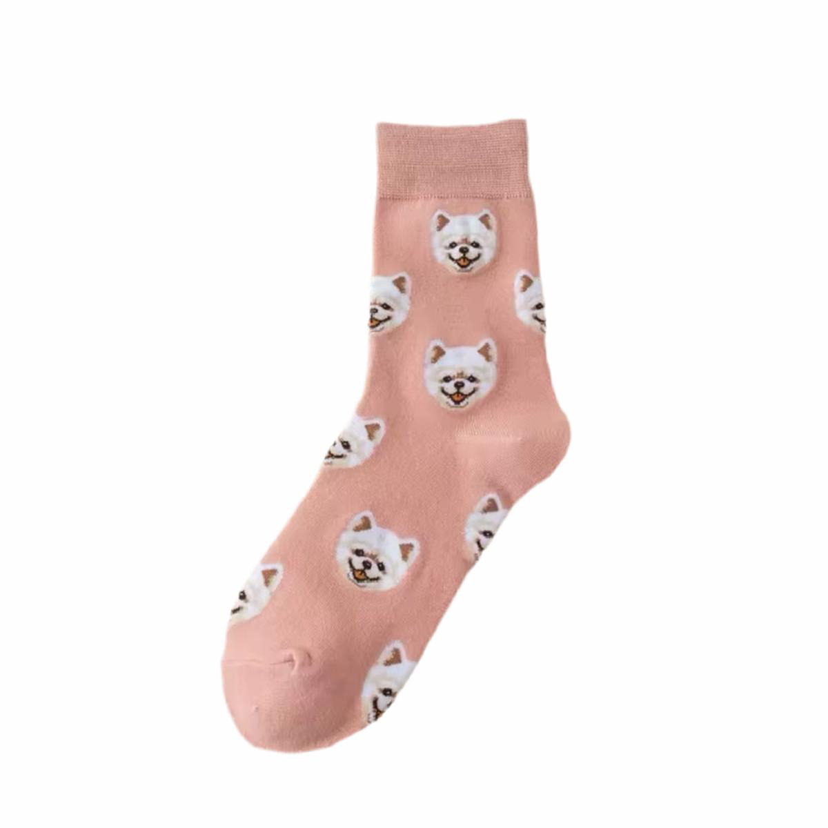 Chaussettes Pomraniens