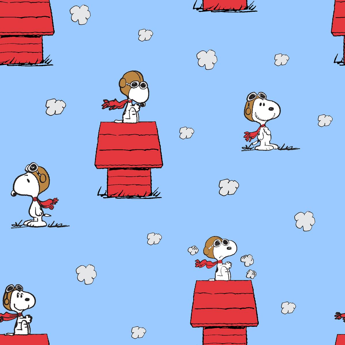 Peanuts Snoopy “The Flying Ace” Doghouse on Blue Fabric