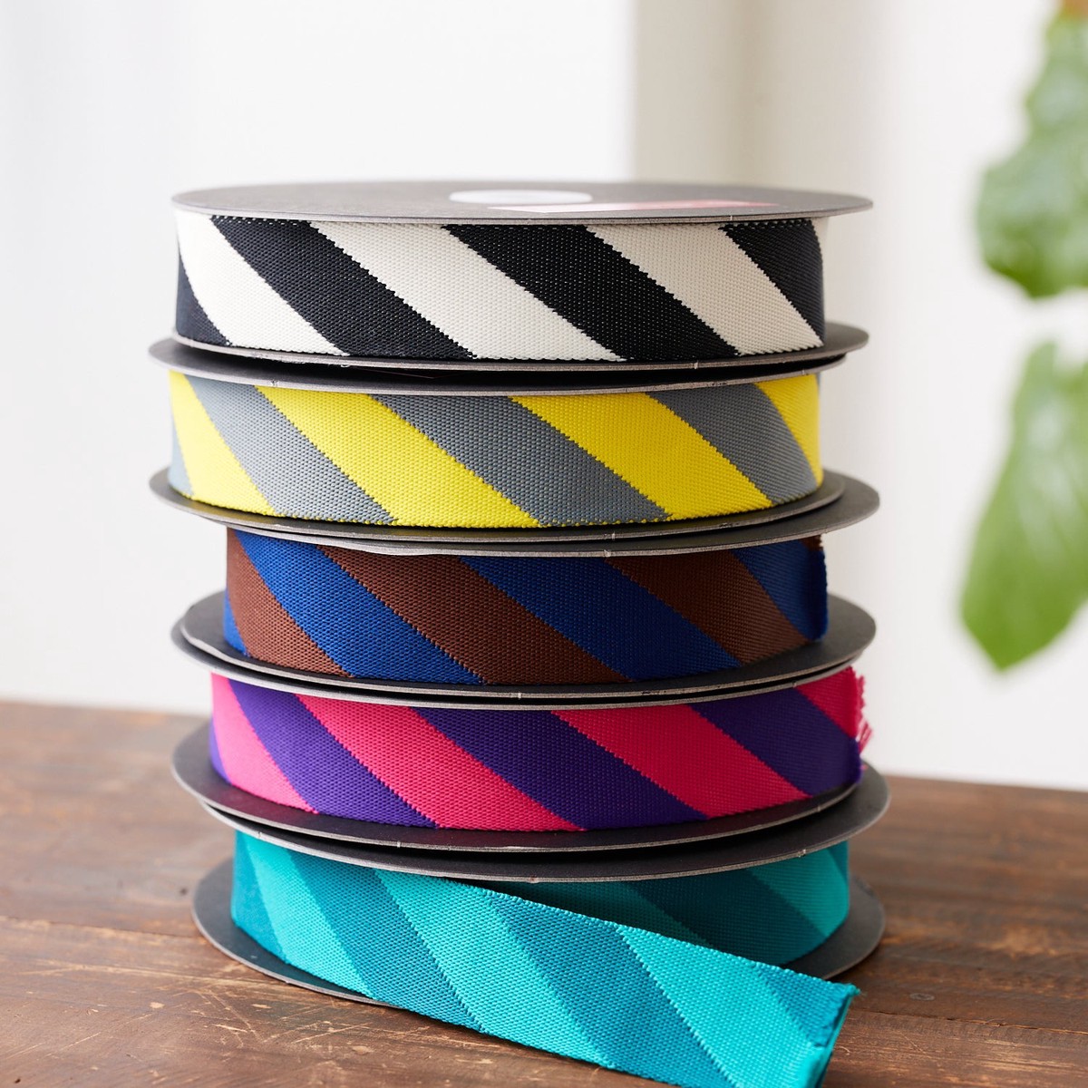 echino Stripe Webbing