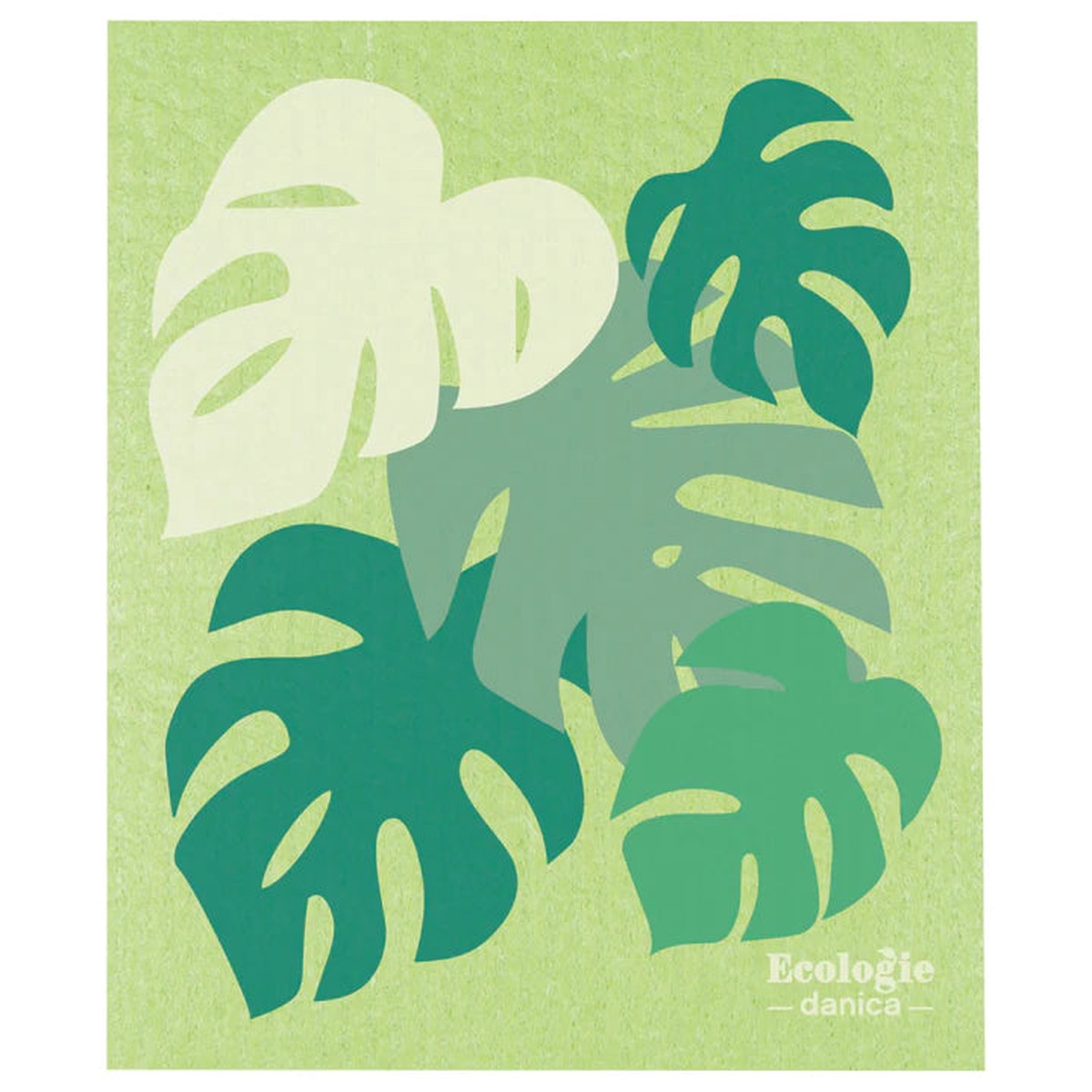 Swedish DC Monstera