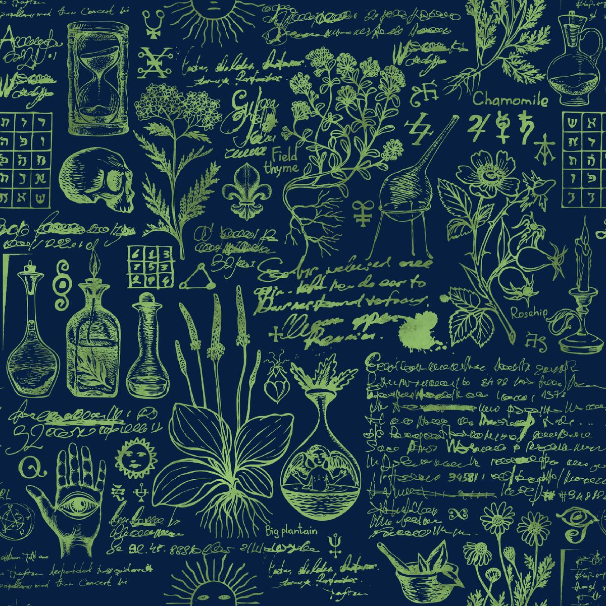 Kate Ward Thacker – Botanical Alchemy – Navy Fabric