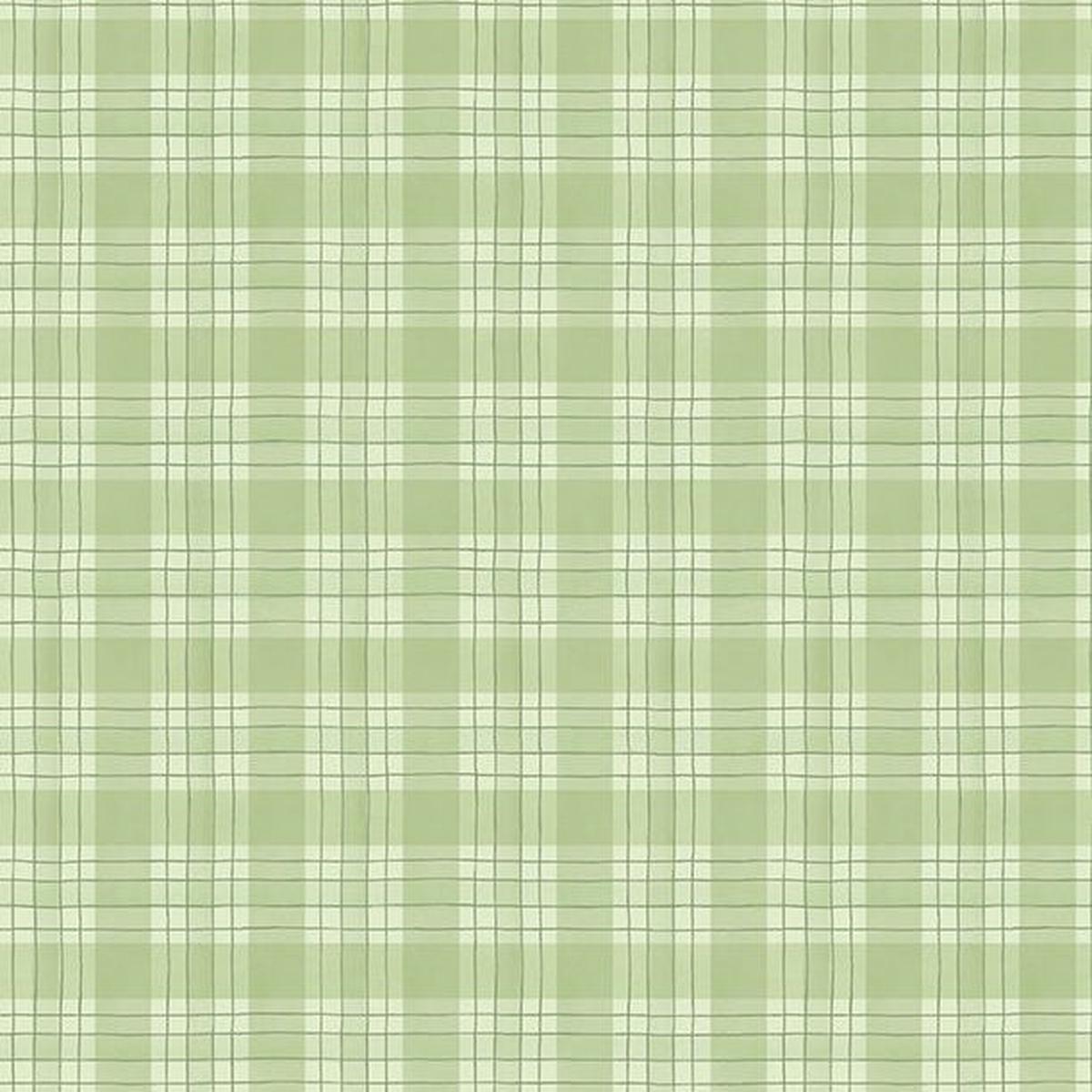 Zest for Life Collection Plaid Cotton Fabric 19159