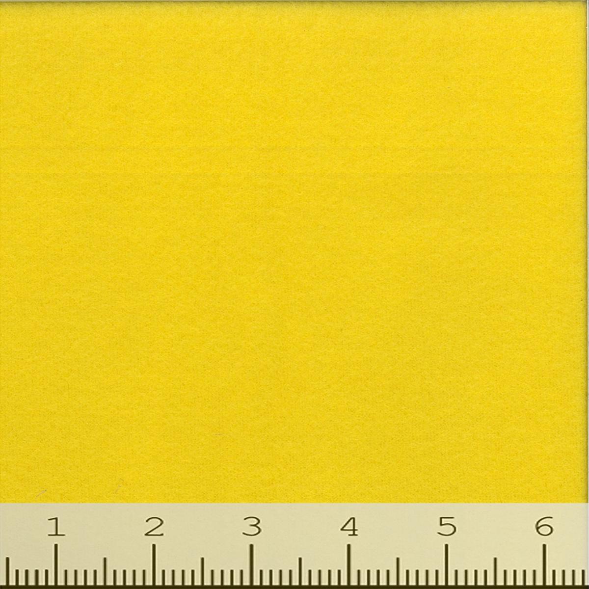 Yukon Fleece Fabric PF00