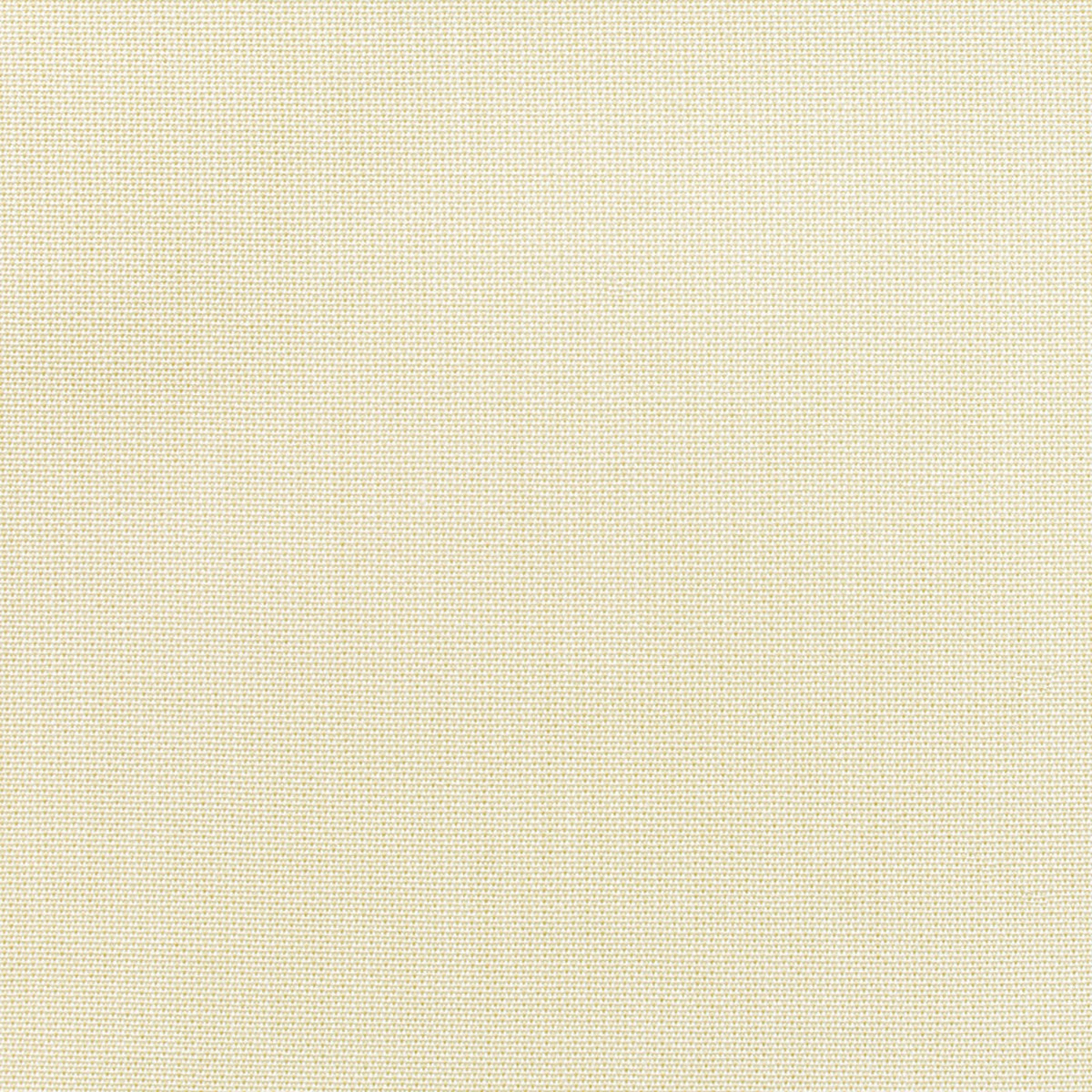 9 x 9 inch Home decor fabric Swatch - Sunbrella Furniture Solid Canvas 5472 Bird's Eye