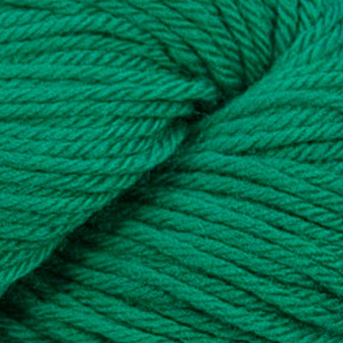 Cascade Yarns 220 Sport Superwash - 864 Christmas Green