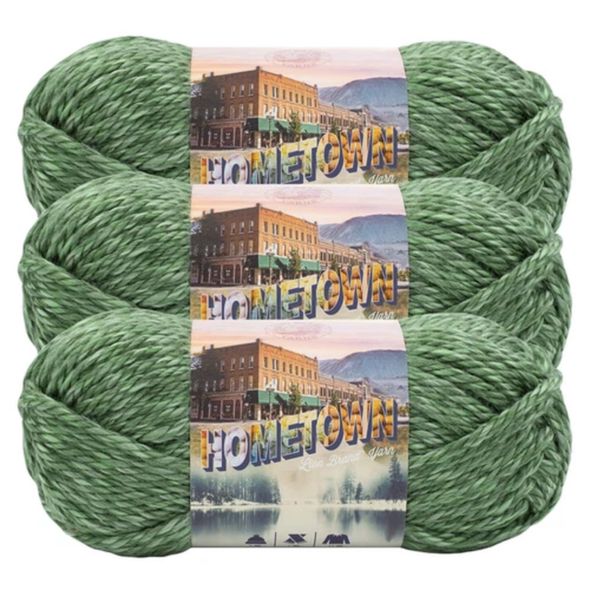 (3 Pack) Lion Brand Yarn 135-241G Hometown Yarn, Everglades