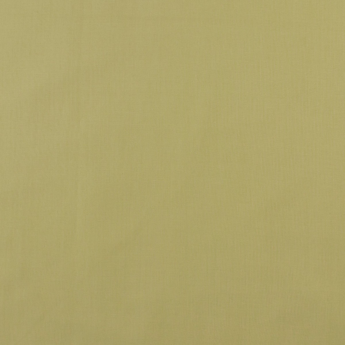 Classic Cotton Solid - SEW - 030 - Sage