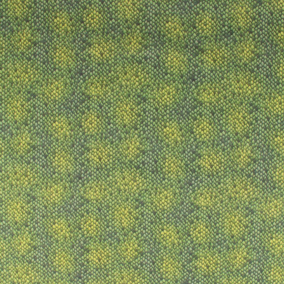 Windham Fabrics - Printed Cotton - PREHISTORIC PARADISE - 005 - Green