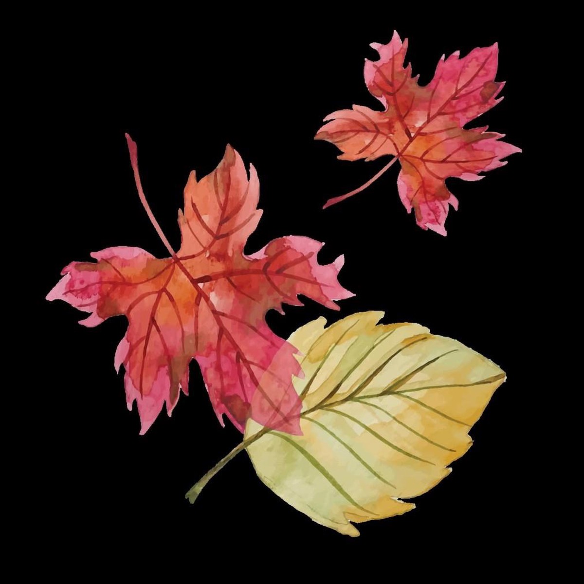 Autumn leaves test pattern