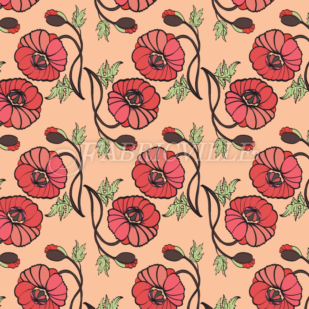 Poppy Flower Beauty