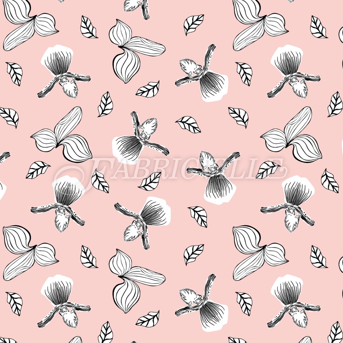 Line Orchid