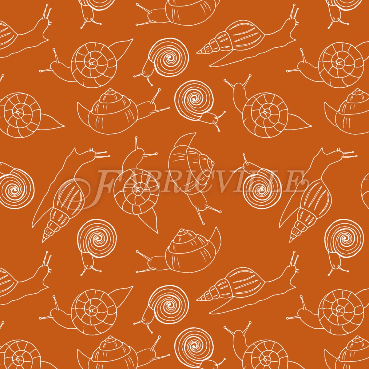 Snail Species