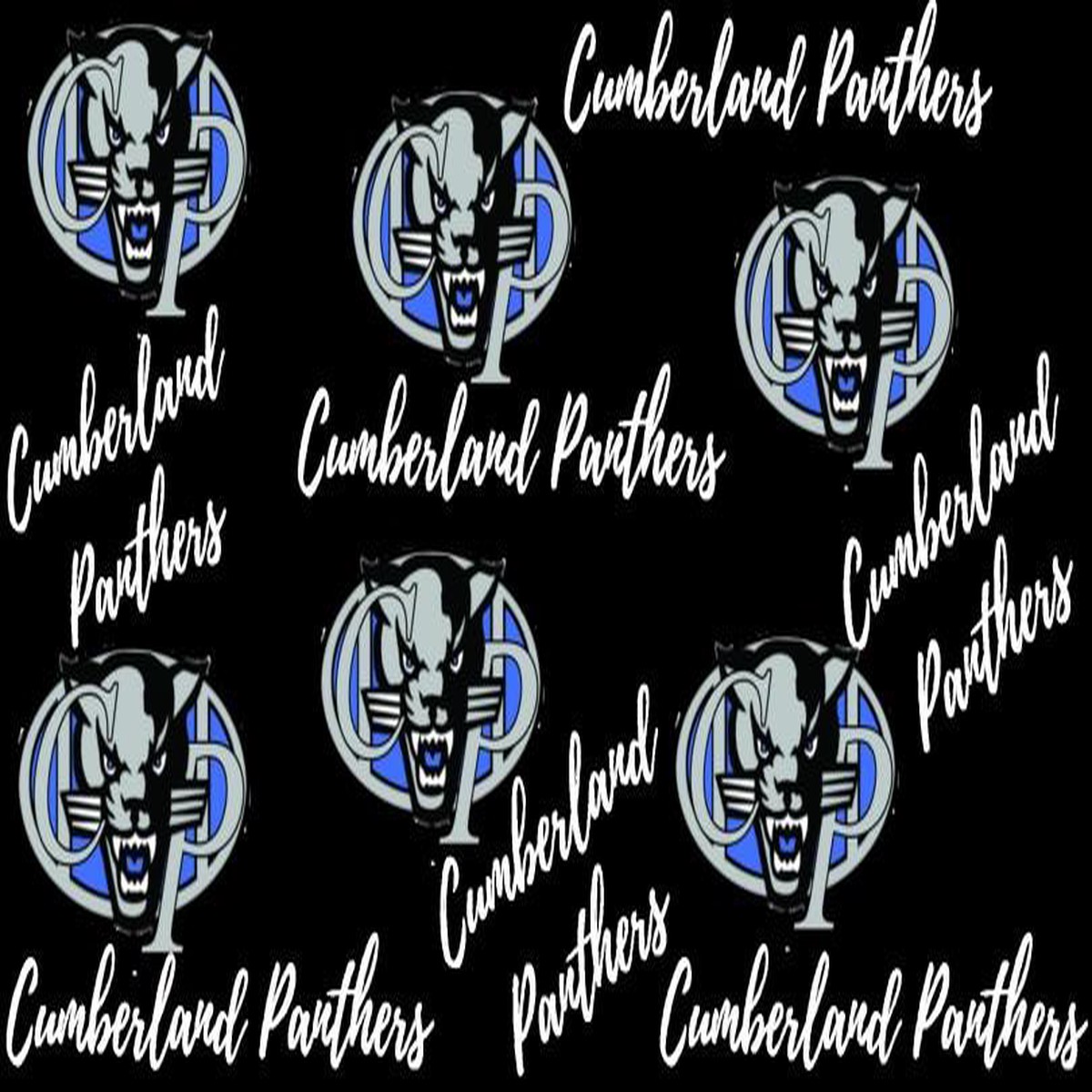 Cumberland Panthers (24 12 in)