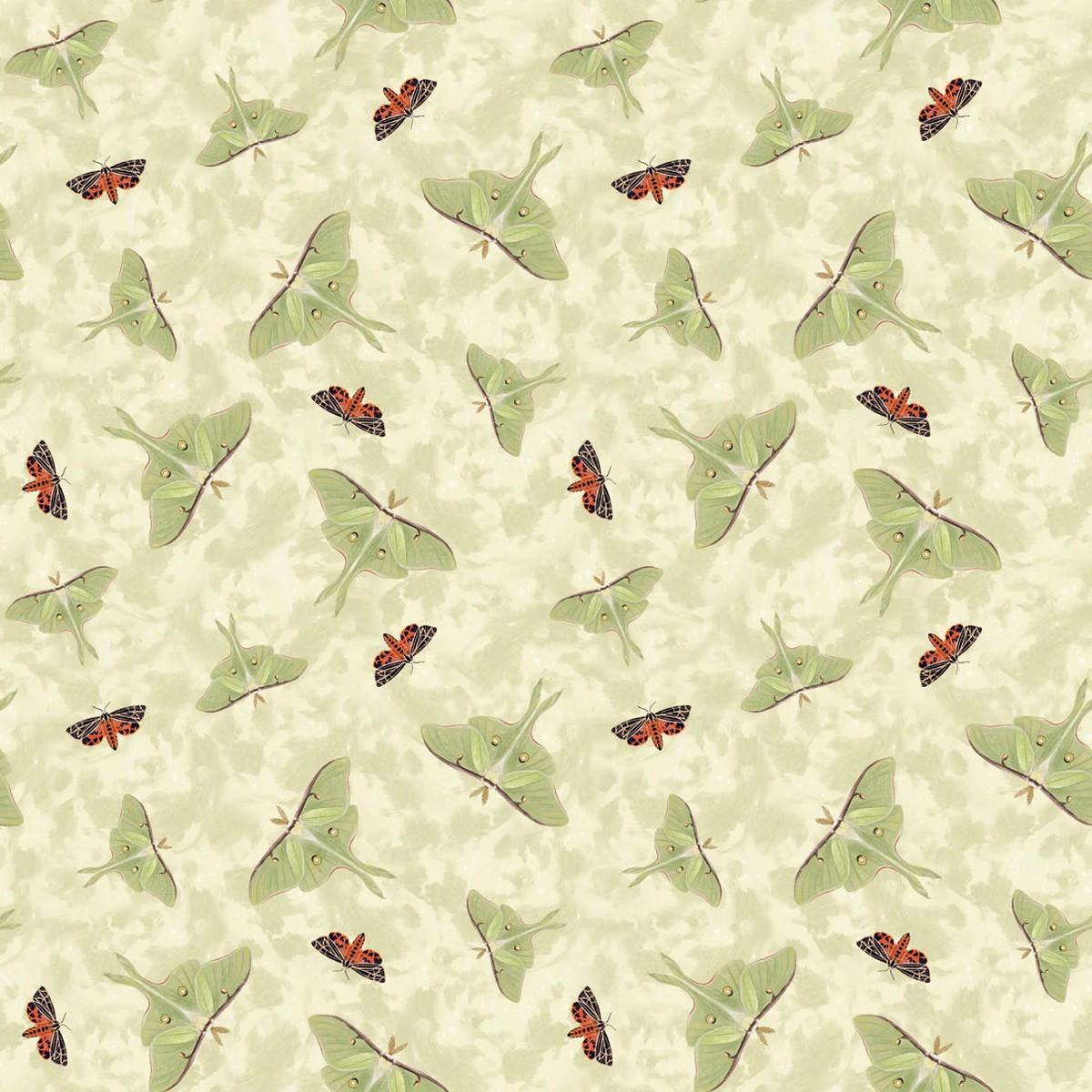 Midnight Rendezvous Moths Tossed Ivory Cream Raquel Maciel Blank Quilting Cotton Fabric