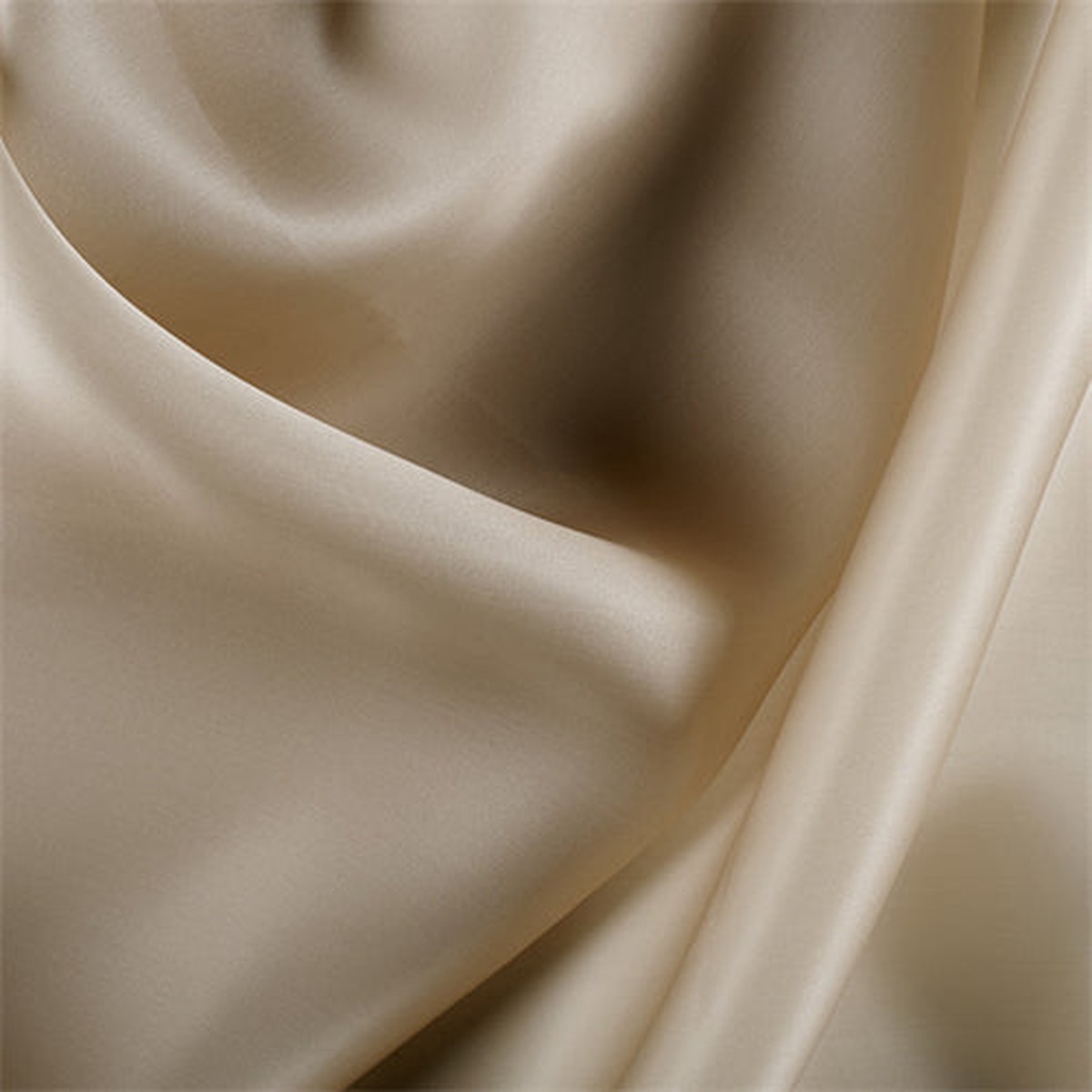 Runway Silks Camel Silk Satin Organza Fabric - Reorderable