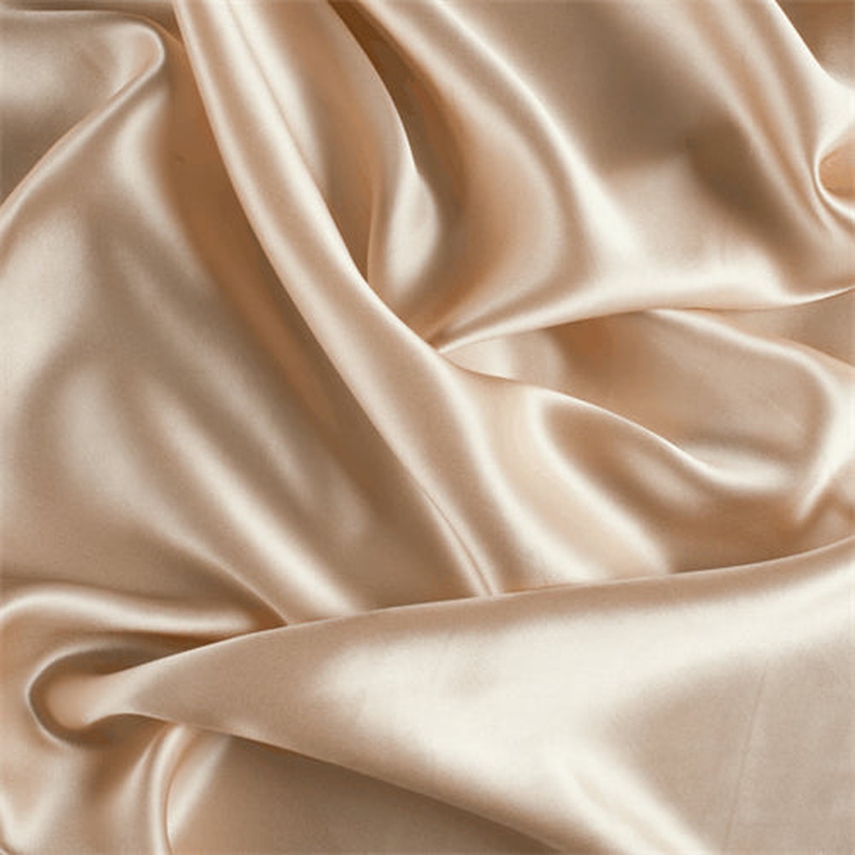 Runway Silks Champagne Silk Charmeuse Fabric - Reorderable