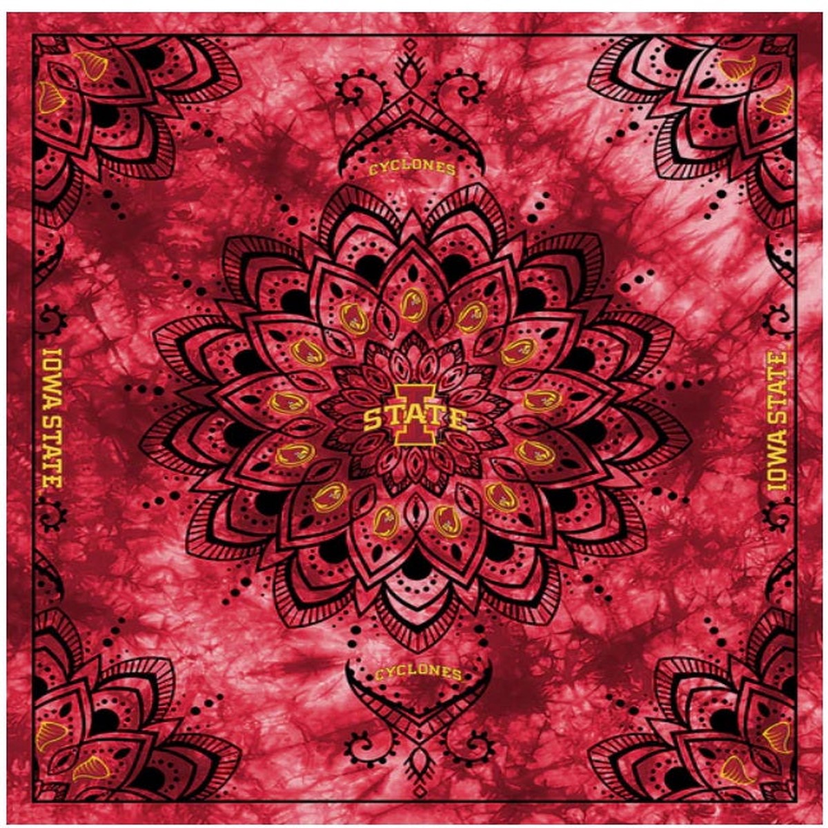 Iowa State Cyclones NCAA Collegiate Tapestry Finished Panel 48''x56'' Gray Sykel Enterprises Polyester Minky Fabric ISU-1360