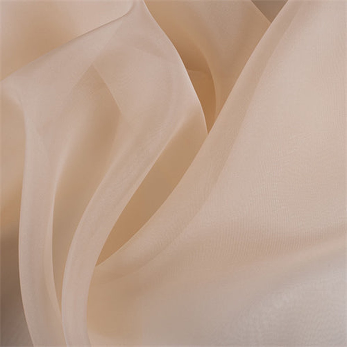 Runway Silks Champagne Silk Organza Fabric - Reorderable