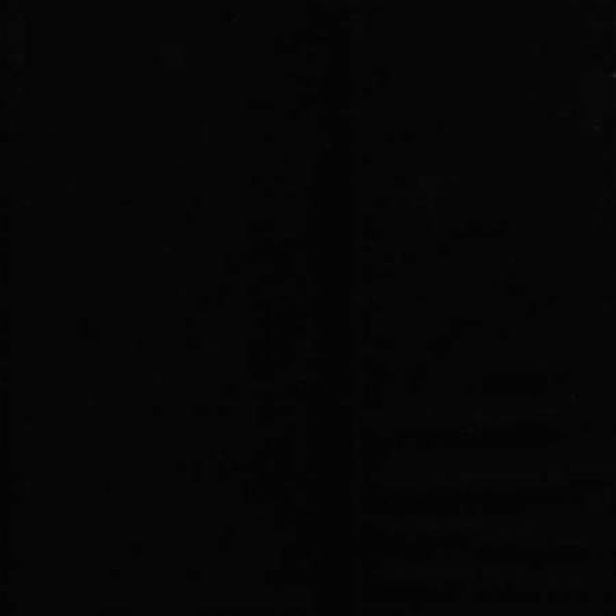 (SOLD PER BOLT) Homegrown USA Solids Black Basic Palette Bargains Cotton Fabric BPB-USA-BLK-FB