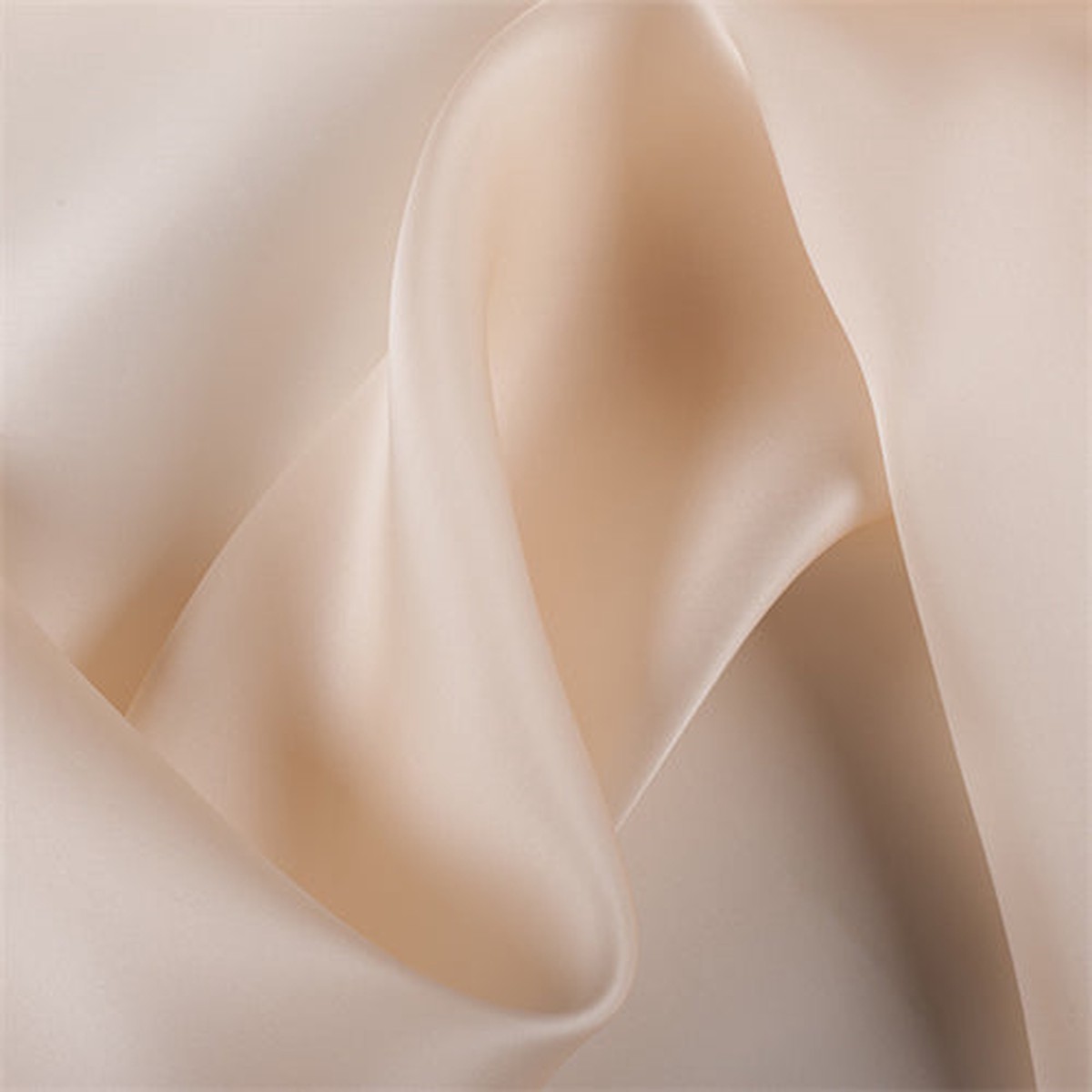 Runway Silks Champagne Silk Satin Organza Fabric - Reorderable